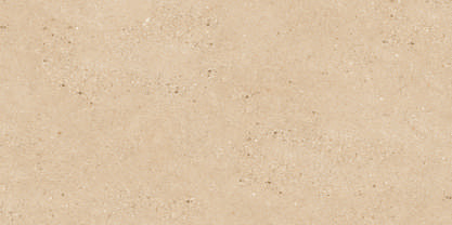 Stonex Brown