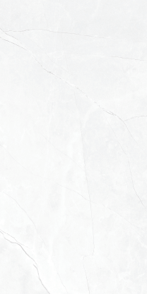 Fender Bianco Fender Grigio