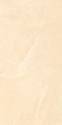 Fender Beige Fender Brown